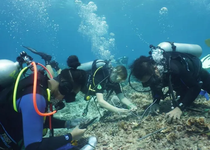The Sagara Penida Nusa Penida Semaya